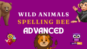 Advanced Spelling bee quiz with hard spellings for improving vocabulary skills