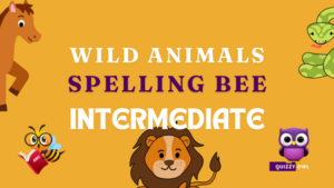 Fun spelling bee activities for language learners at intermediate level